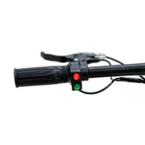 CRONY JL005-02 Small Harley Electric Bicycle Folding Electric Scooter  2 Wheels Electric Motorcycle with Basket