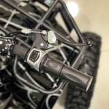 CRONY JL025-01 Four Wheel Kids Desert Buggy Scooter