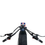 CRONY SS-11W Three-wheeled Small Harley big seat electric three wheel scooter with basket