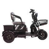 CRONY X3B motorcycle electric bike 350W 48V electric motorcycle Electric Bicycles 3 wheel motorcycle
