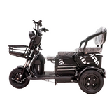 CRONY X3B motorcycle electric bike 350W 48V electric motorcycle Electric Bicycles 3 wheel motorcycle
