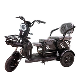 CRONY X3B motorcycle electric bike 350W 48V electric motorcycle Electric Bicycles 3 wheel motorcycle