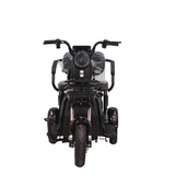 CRONY X3B motorcycle electric bike 350W 48V electric motorcycle Electric Bicycles 3 wheel motorcycle