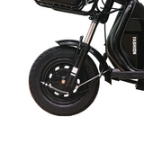 CRONY X3B motorcycle electric bike 350W 48V electric motorcycle Electric Bicycles 3 wheel motorcycle