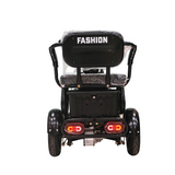 CRONY X3B motorcycle electric bike 350W 48V electric motorcycle Electric Bicycles 3 wheel motorcycle