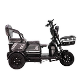 CRONY X3B motorcycle electric bike 350W 48V electric motorcycle Electric Bicycles 3 wheel motorcycle