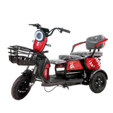 CRONY X3B motorcycle electric bike 350W 48V electric motorcycle Electric Bicycles 3 wheel motorcycle