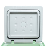 CRONY Car Refrigerator 9L-C9 compressor beauty mini fridge cosmetics skincare mobile cooler box