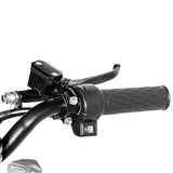 CRONY 18inch Take-out electric bicycle BIKE Fast food delivery electric bike