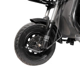 CRONY X3B motorcycle electric bike 350W 48V electric motorcycle Electric Bicycles 3 wheel motorcycle