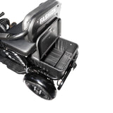 CRONY X3B motorcycle electric bike 350W 48V electric motorcycle Electric Bicycles 3 wheel motorcycle