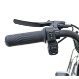 CRONY X2C medium electric tricycle three wheel electric vehicle