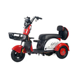 CRONY X3A motorcycle electric bike 350W 48V electric motorcycle Electric Bicycles 3 wheel motorcycle