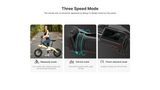 CRONY H2 Folding Electric Bike 14-Inch 250W Motor 36V Detachable Battery 25KM/H