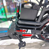 CRONY 18inch Take-out electric bicycle BIKE Fast food delivery electric bike