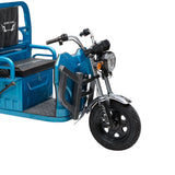 CRONY X1A X1B Heavy 3 Wheeler Electronic Big Truck 1200W Electric Bicycles