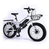 CRONY 22 inch sand electric vehicle Outdoor desert riding electric bicycle | Black - Edragonmall.com