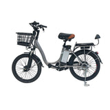 CRONY 22inch The fire spirit bird Electric bicycle E-BIKE bike - Edragonmall.com