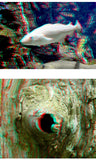 CRONY Red and blue master image lovely animal virtual reality 3d movies vr glasses 3D glasses For the projector - Edragonmall.com