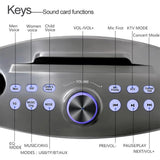 SDRD SD306 Plus 30W Karaoke Player Dual bluetooth 4.2 Speaker Family KTV Stereo Mic Big Sound Speaker with 2 Wireless Microphones-Grey - Edragonmall.com